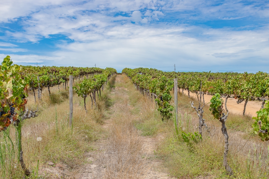 6 Bedroom Property for Sale in Lyndoch Western Cape